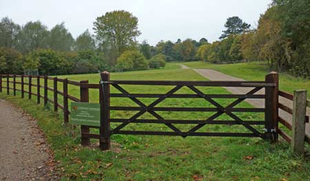 Post and rail fencing with gate