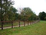 Equestrian fencing - post and rail